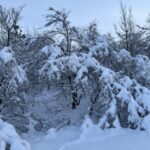 A lot of snow – a walk with the family.