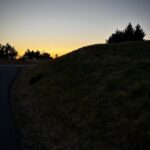 Daily walks