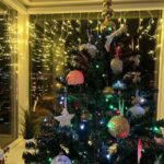 Christmas &amp; snow